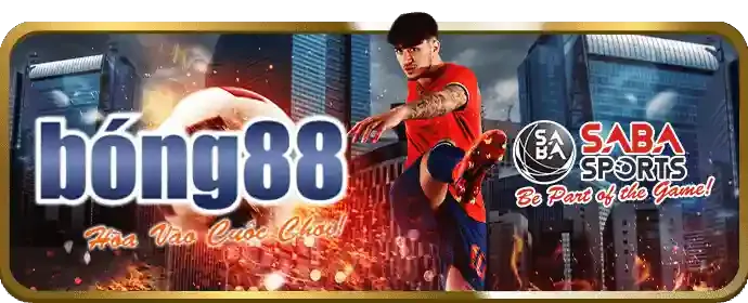 Ưu đãi độc quyền qh988
